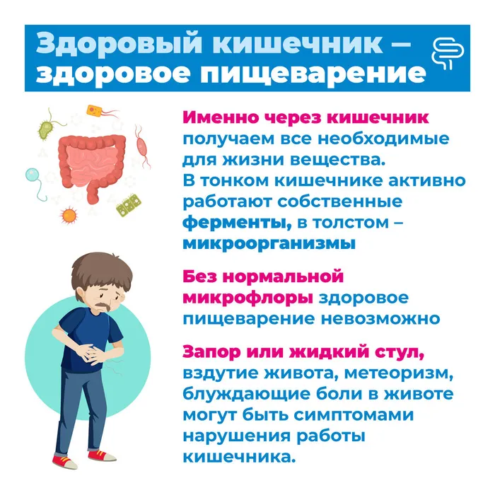 Кишечник4
