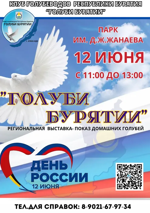 вертикаль Клуб любителей голубей республики Бурятия